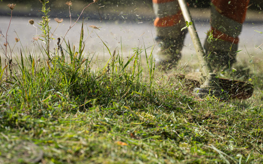 Il paese è senz'acqua, il Comune taglia l'erba: residenti furiosi