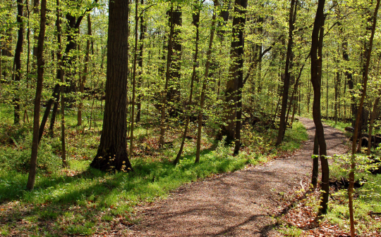 Nomaglio, i bambini tracciano il Sentiero della Pace