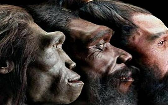 Migrazioni, fossili e scienza viva: al Gran Paradiso torna "Natura in Evoluzione"
