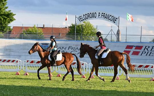 Ritorna la "Festa del Cavallo" a San Francesco al Campo: Un Weekend tra tradizione, spettacolo ed enogastronomia