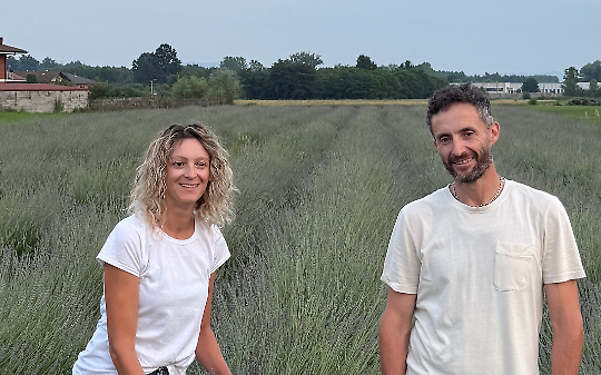 I fratelli Bertot tra i filari della loro lavanda