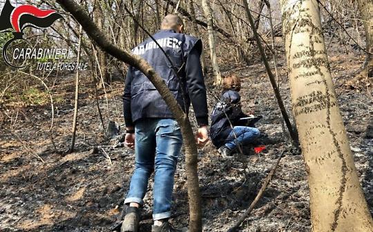 Incendio in Canavese