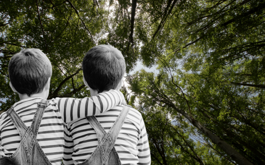 Vivono nel bosco senza identità: la storia sconvolgente di due bambini "fantasmi" per lo Stato