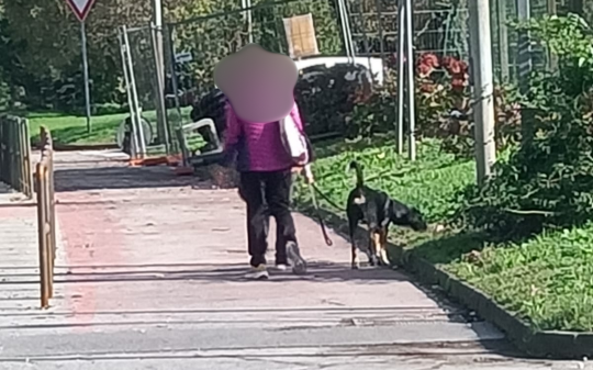 Area cani a Banchette: 27 mila euro per il nulla