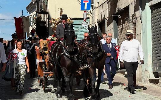 San Savino 2026, ecco il manifesto: vince l&rsquo;illustratrice Cecilia Negri