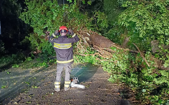 Alberi caduti e rischio frane: chiusa la Provinciale 4