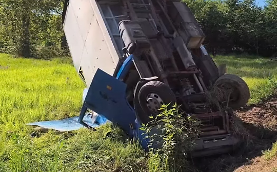 Il camion per il trasporto bestiame si è ribaltato