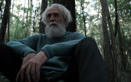 Scomparso nei boschi