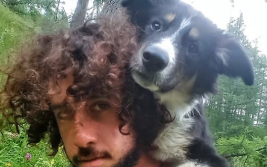 Addio a Switch, il cane alpinista delle Alpi Graie: il sogno di un salvataggio si spegne sul ghiacciaio di Nel
