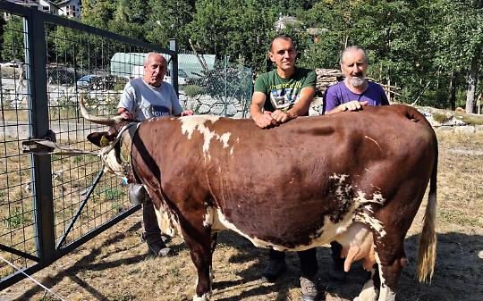 Festa Agricoltura di Montagna