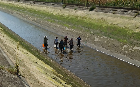Nel canale spuntano 350 pesci siluro e un bancomat smontato