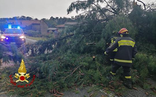 Paura a Moncrivello, il temporale abbatte alberi e scoperchia i tetti