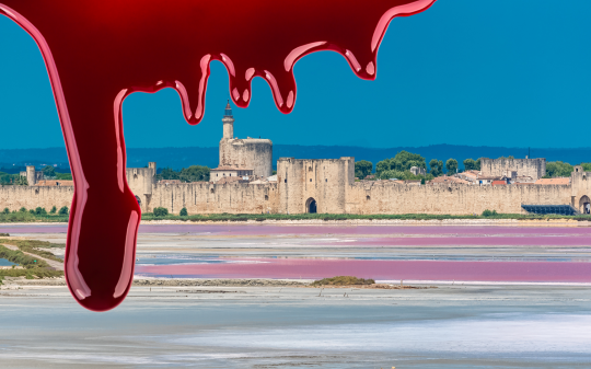 Quando gli Emigranti eravamo noi. Italiani bruciati, picchiati, uccisi. La strage dimenticata di Aigues-Mortes