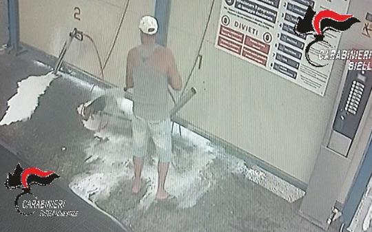 Lava il cane con la lancia dell'autolavaggio: denunciato per maltrattamento