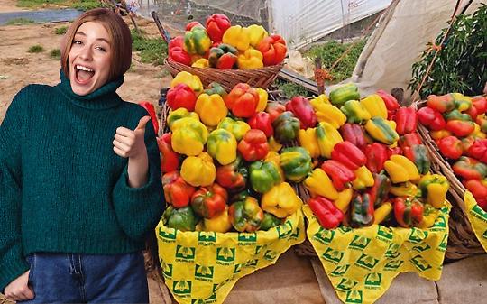 Coldiretti rilancia il peperone di Carmagnola: simbolo della dieta mediterranea e modello di agricoltura sostenibile