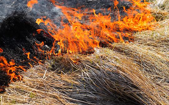 Incendio sulle montagne di Bussoleno, cascina distrutta e 50 rotoballe di fieno in fumo
