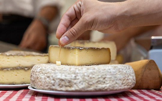 "Mio figlio avvelenato dal latte crudo, in coma dal 2017": papà attacca Slow Food a Cheese