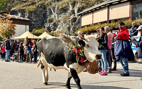 Usseglio saluta l’estate con la Festa della Transumanza e degli Orti di Montagna
