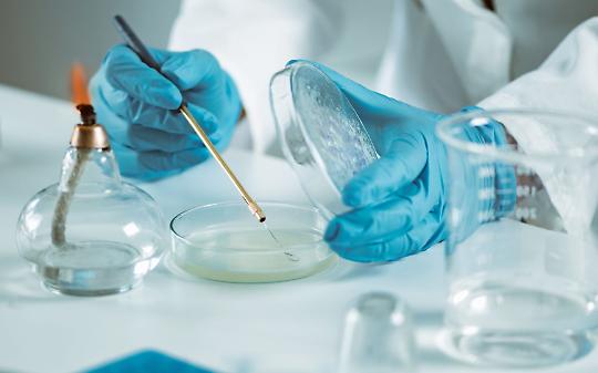Tumore al colon, scoperta a Candiolo la proteina che rende inutile la chemioterapia
