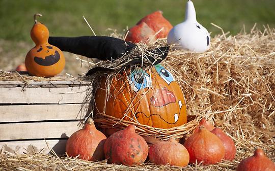 A Chiaves la quinta edizione della manifestazione dedicata all'autunno