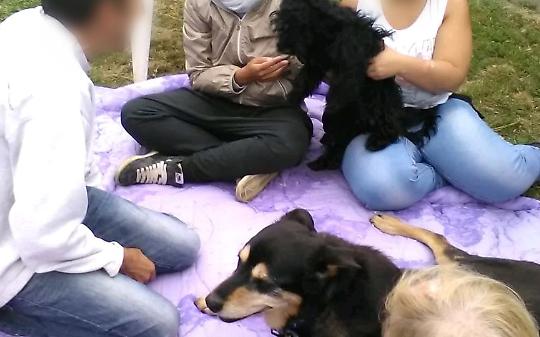 A Saluggia c’è un luogo dove la disabilità non isola, ma unisce. Si chiama comunità Lilly.