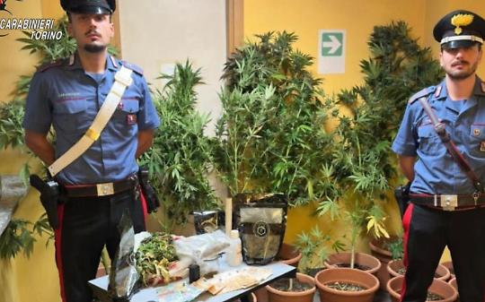 Odore di marijuana nell’aria