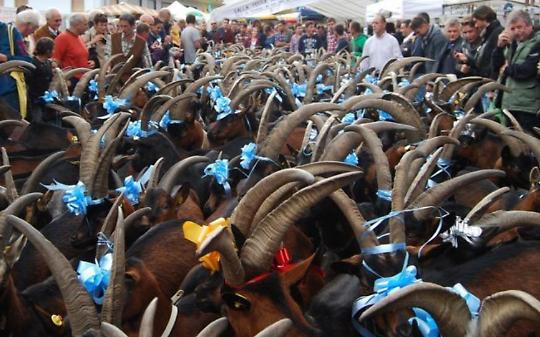 Torna la Festa rurale