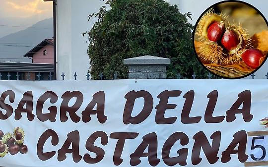 Dodici quintali di castagne