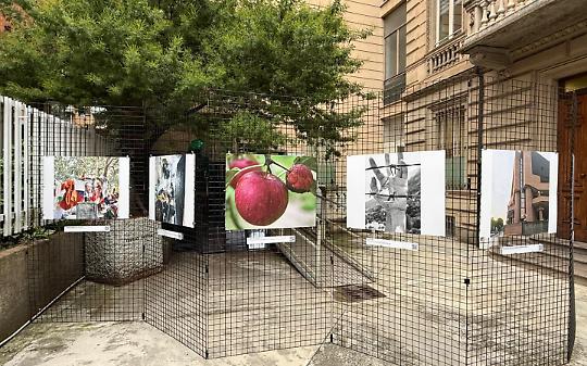 Alla Cisl la mostra “Uno scatto di legalità”: 12 fotografie raccontano l’impegno dei giovani contro le mafie