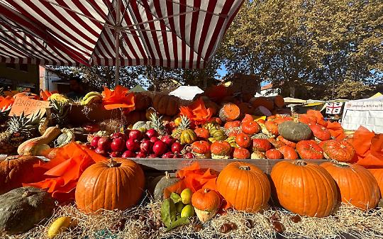 Brandizzo festeggia i 28 anni della Sagra della Zucca: due giorni di gusto e tradizione