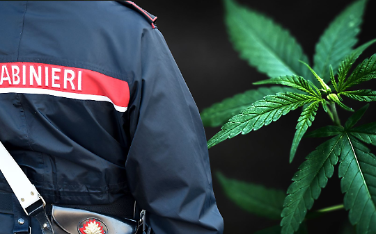 Assalto a un deposito di cannabis light nel Cuneese, Indagano i Carabinieri