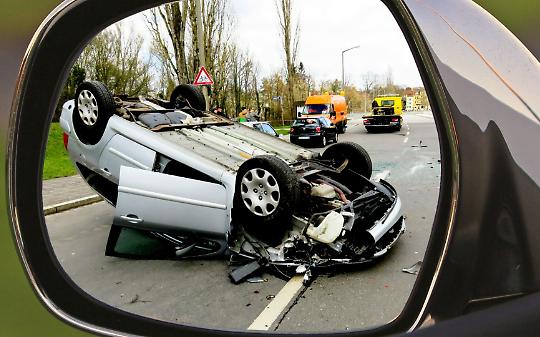 Spavento all’alba sulla Sp54: auto finisce nel fosso per evitare due cani