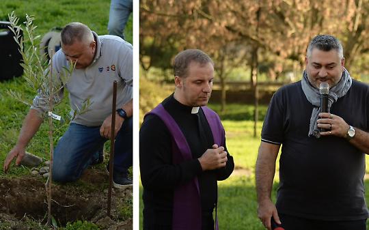 Un ulivo dalla Calabria per ricordare gli amici del quartiere Borgo Sud Est