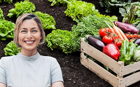 Fiera di San Martino, Chieri si prepara a cinque giorni di festa tra tradizione, sapori e identità