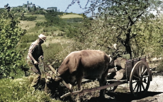 A Muriaglio la cultura si fa di prossimità: libri, memoria e vita di paese