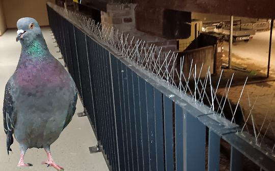 Cascina Nuova, corrimano con aghi metallici fuori dall'aula studio: scoppia la polemica. "Sono pericolosi!"