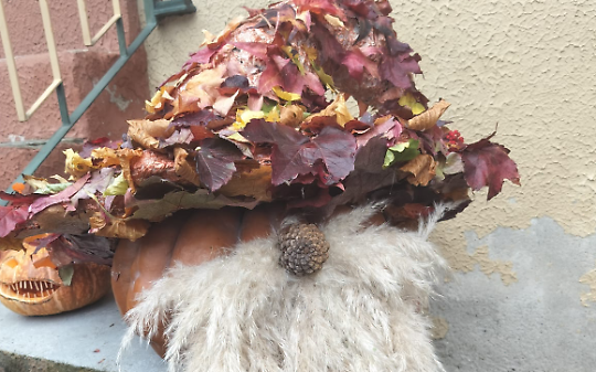 La zucca vincitrice del concorso "Decora la tua zucca"