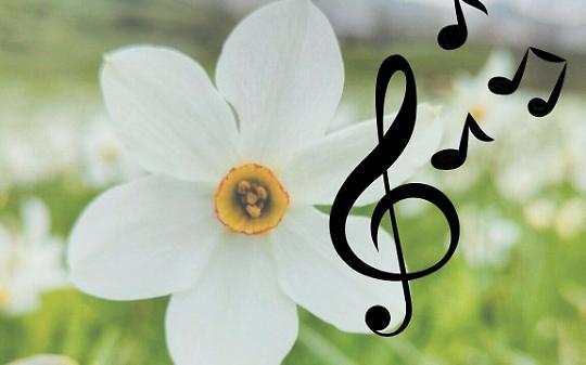 Il coro "I Piccoli Cantori della Valle Sacra" è nato a Cintano nel 2018