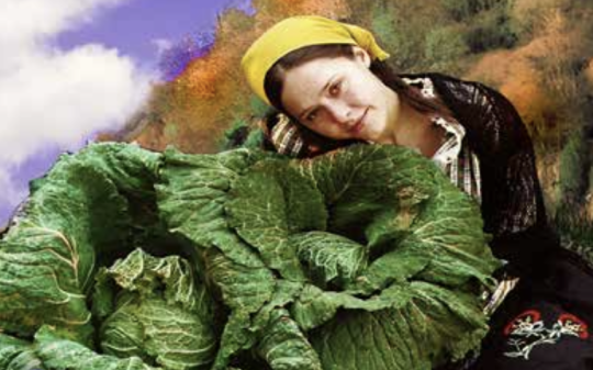 Montalto Dora celebra la ventinovesima sagra del cavolo verza: cinque giorni di gusto, storia e natura. Il programma