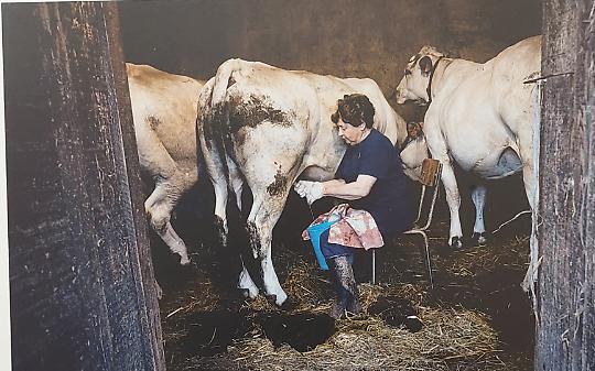 A San Mauro rivivono i mestieri che resistono al tempo con una mostra che racconta l'artigianato