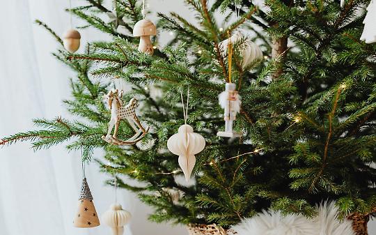 A Brusasco un viaggio nei simboli nascosti del Natale