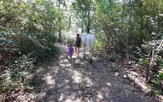 Non solo la famiglia di Palmoli: anche Lauriano, nel Chivassese, ha avuto il suo caso di minori che vivevano in un bosco