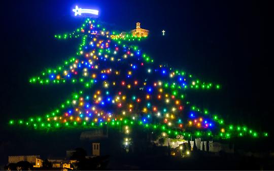 Hai mai visto un albero di Natale da 750 metri? Ecco i 5 più incredibili del pianeta