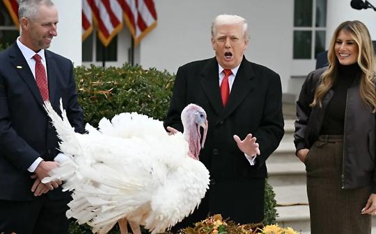 Trump grazia un tacchino nel Giorno del Ringraziamento e imita il suo gloglottio: il video è virale
