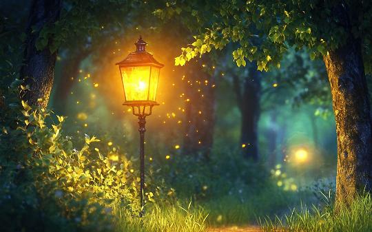 Tutti alla ricerca del Bosco Incantato. Ecco dove si trova la magia che accende il Natale