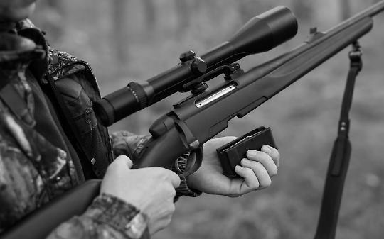 Cane trovato morto nei campi di San Martino Canavese: ipotesi colpo di fucile e nessun microchip