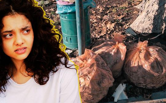 Canavese, tra sacchi e foglie