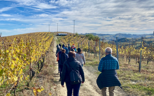 &ldquo;Salute in Piazza&rdquo;, l&rsquo;ASL CN2 chiude il tour 2025: 65 nuove &ldquo;Sentinelle della Salute&rdquo; e un modello di sanit&agrave; di prossimit&agrave; sempre pi&ugrave; partecipato