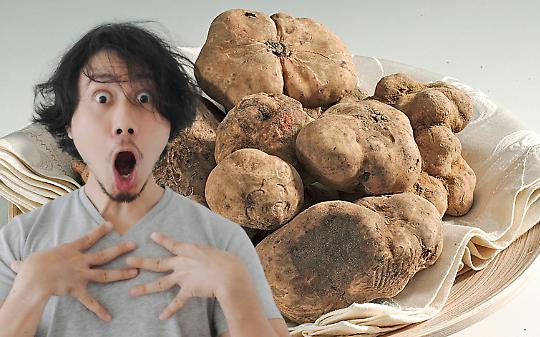 L&rsquo;oro bianco del Piemonte