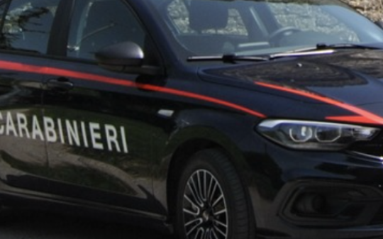 Aggredisce i carabinieri 